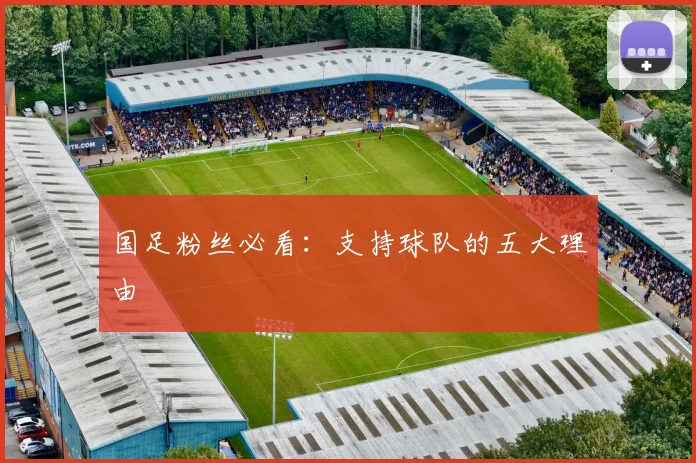 国足粉丝必看:支持球队的五大理由