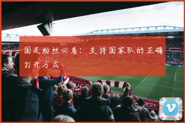 国足粉丝必看:支持国家队的正确打开方式