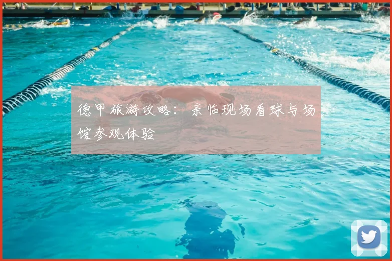 德甲旅游攻略：亲临现场看球与场馆参观体验