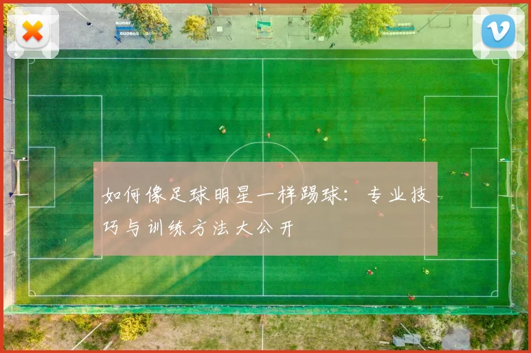 如何像足球明星一样踢球:专业技巧与训练方法大公开