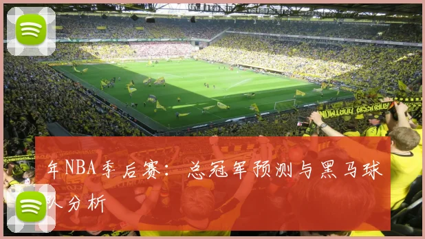 年NBA季后赛：总冠军预测与黑马球队分析
